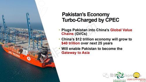国际最新爆料,全球局势风云再起