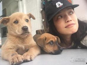 娱乐圈爆料流浪狗  第3张